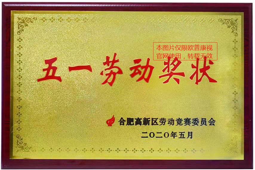 五一勞動(dòng)獎(jiǎng)狀