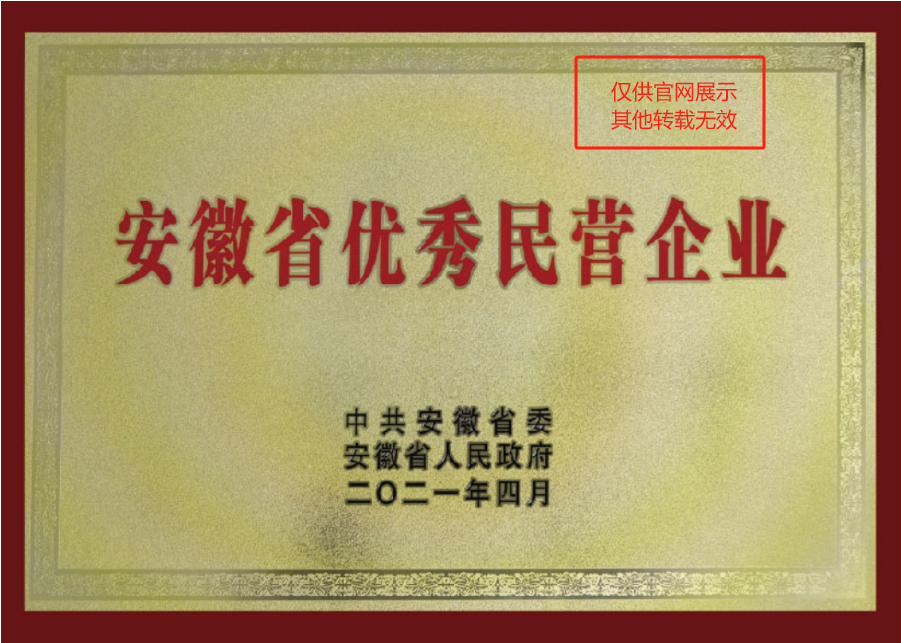 安徽優(yōu)秀民營企業(yè)